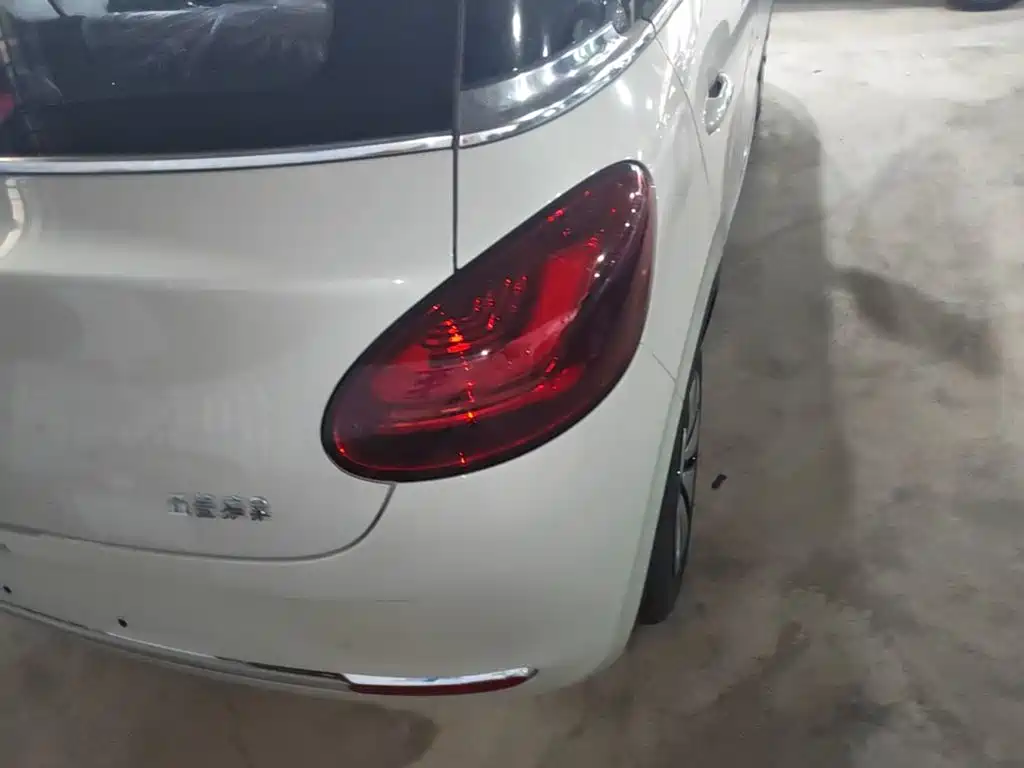 Wuling Binguo 2025 333km Enjoy