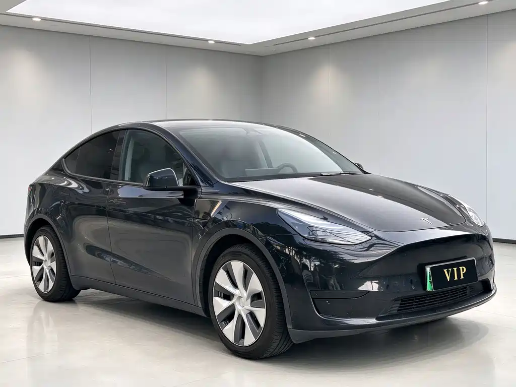 Tesla Model Y — миниатюра 3