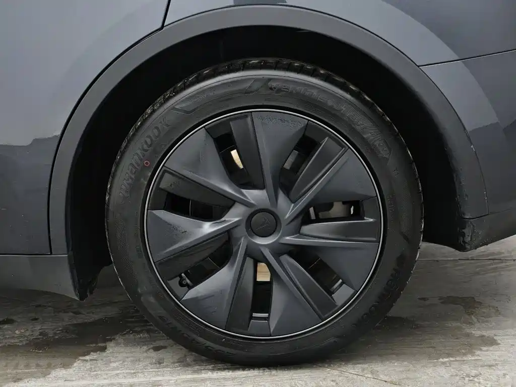 Tesla Model Y — миниатюра 9