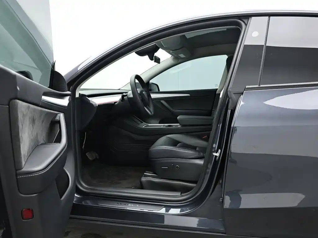 Tesla Model Y — миниатюра 10