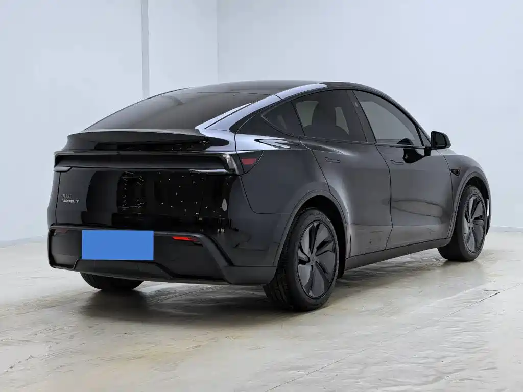 Tesla Model Y — миниатюра 11