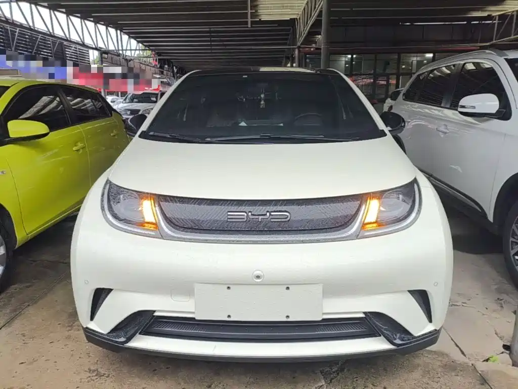 BYD Dolphin — миниатюра 3