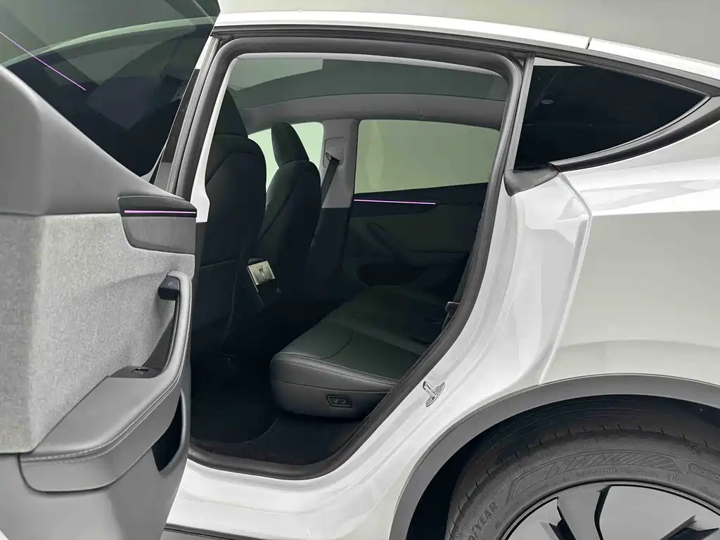 Tesla Model Y — миниатюра 8