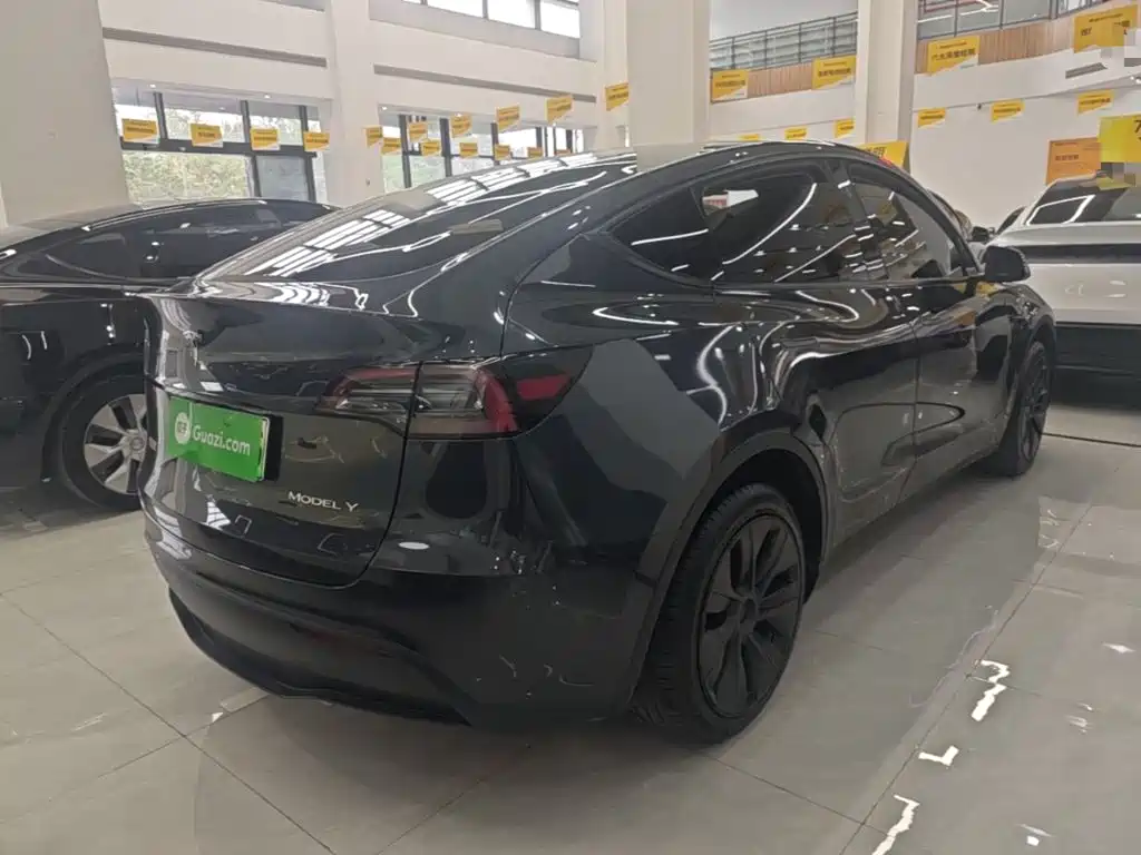 Tesla Model Y — миниатюра 7