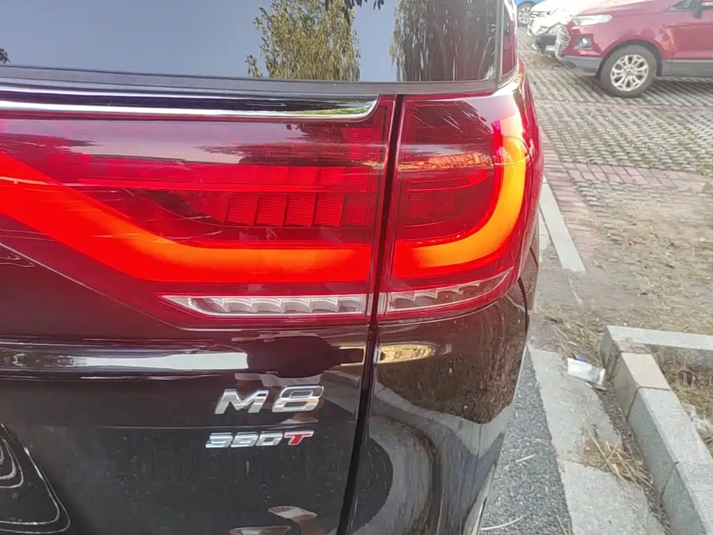 GAC Motor Trumpchi M8 — миниатюра 8