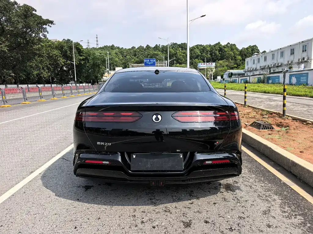 Denza Z9 2024 1100km Max