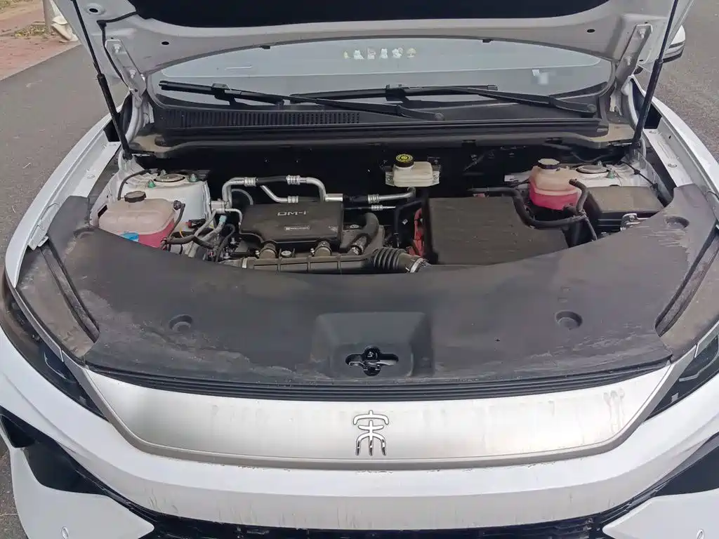 BYD Pro New Energy — миниатюра 21