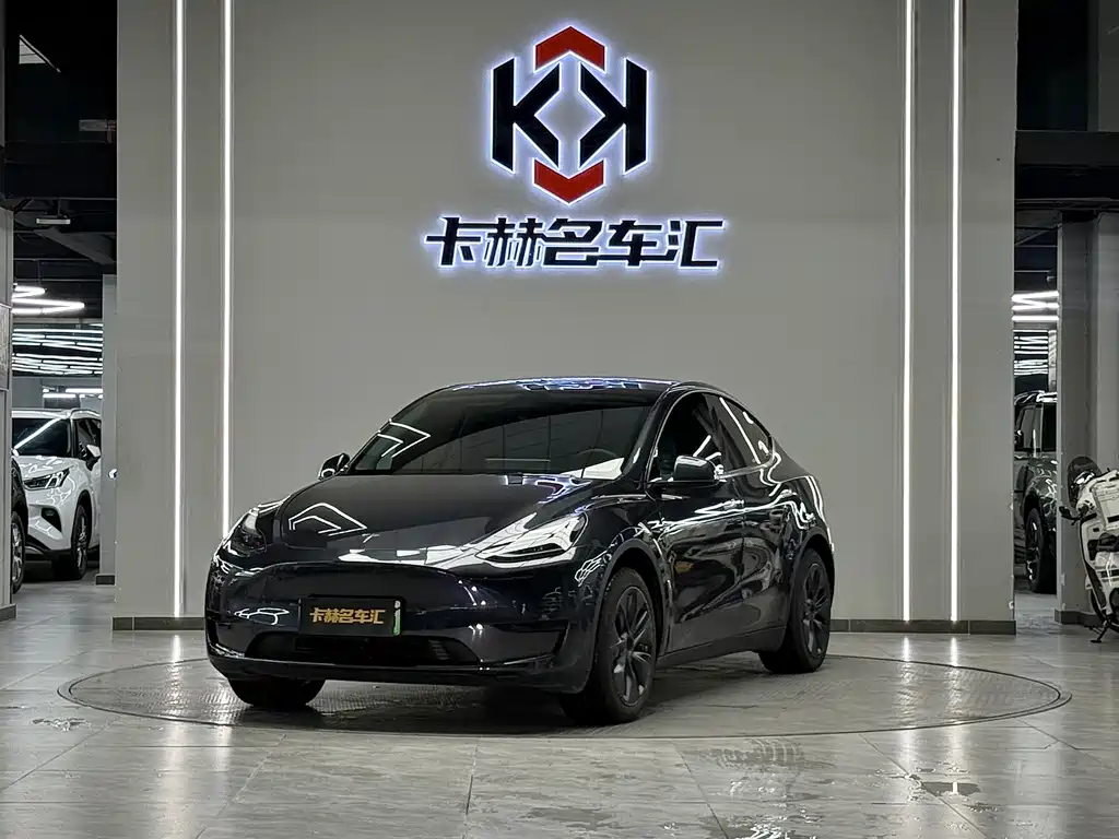 Tesla Model Y — миниатюра 3