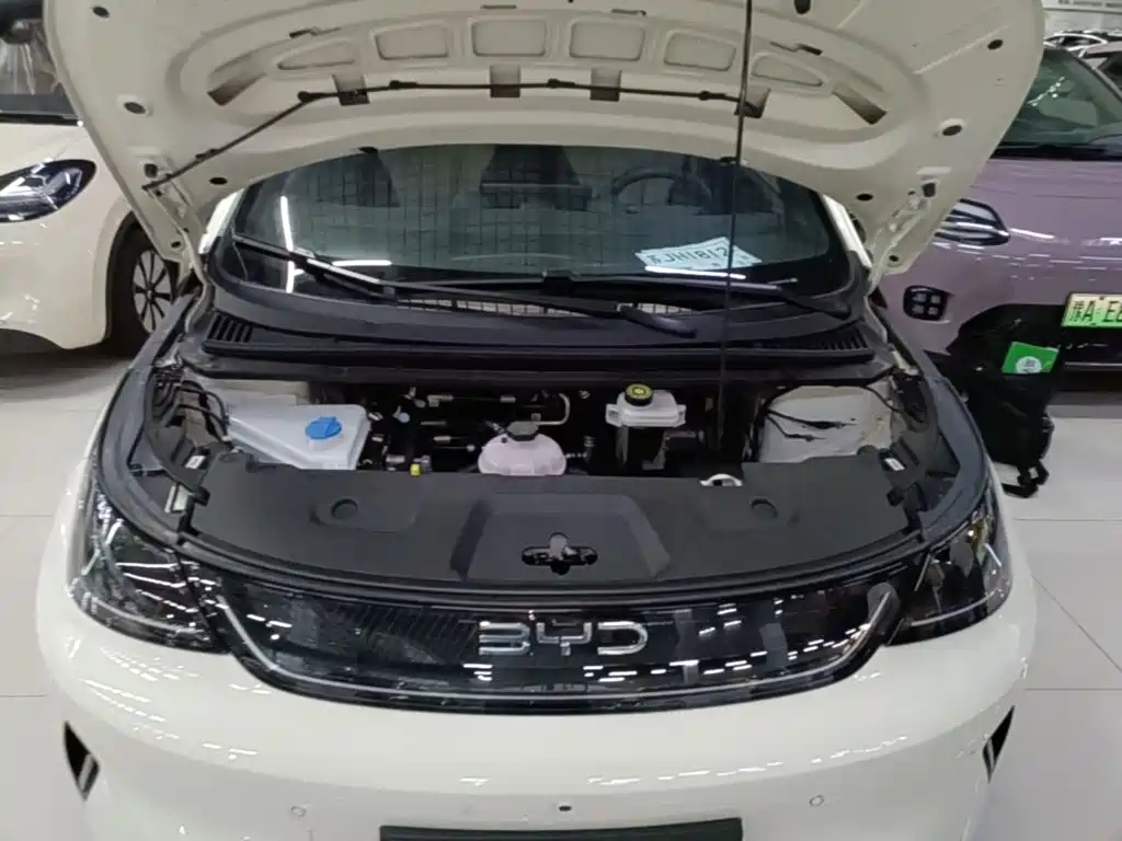 BYD Dolphin — миниатюра 20