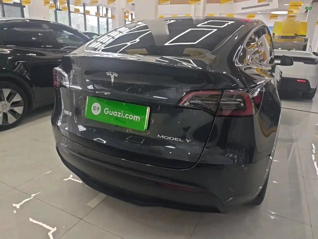 Tesla Model Y — миниатюра 6