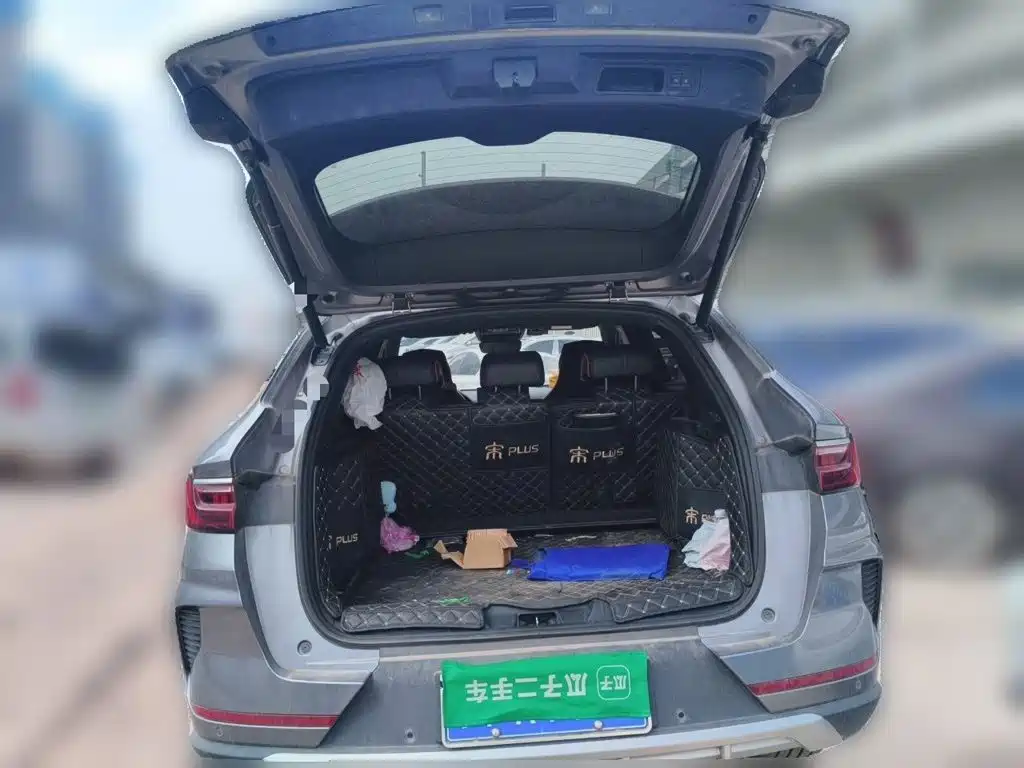 BYD PLUS — миниатюра 20