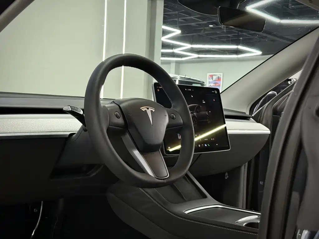 Tesla Model Y — миниатюра 12