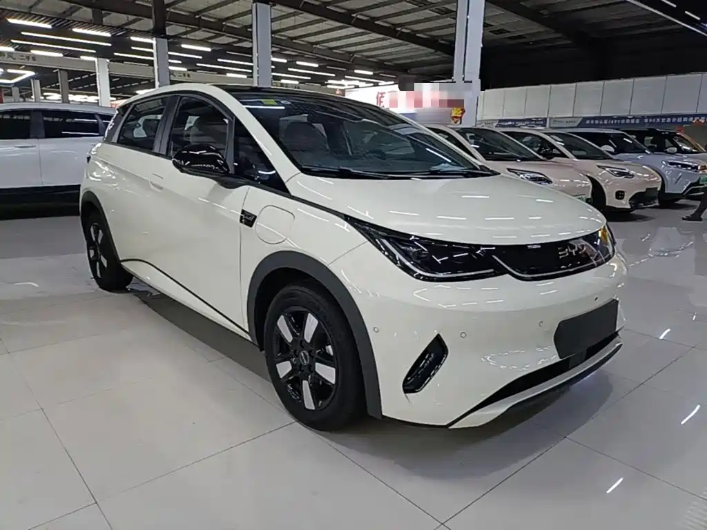 BYD Dolphin — миниатюра 4