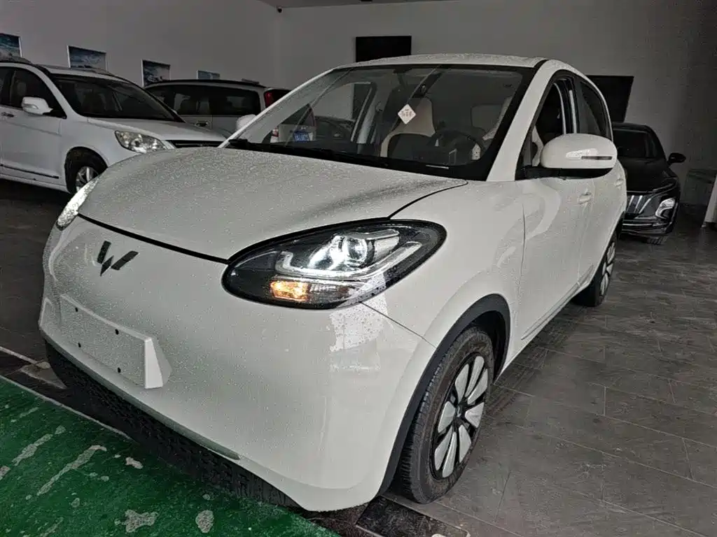 Wuling Bingo 2024