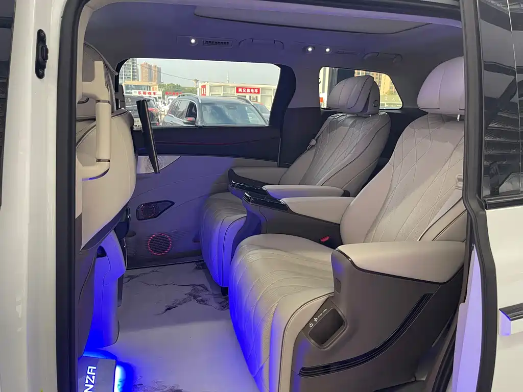 Denza Denza D9 — миниатюра 24