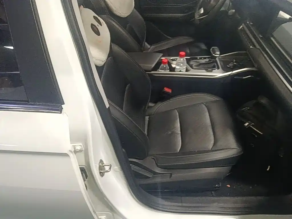 Geely Emgrand — миниатюра 25