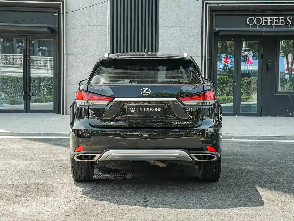 Lexus RX — миниатюра 5