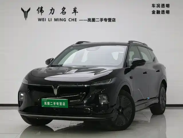 VOYAH LAN TU ZHIYIN 2024