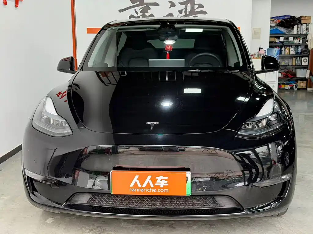Tesla Model Y — миниатюра 2