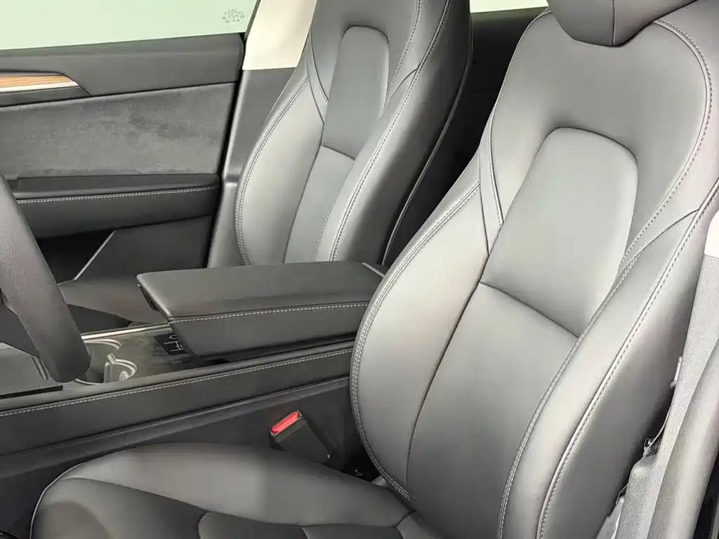 Tesla Model Y — миниатюра 10
