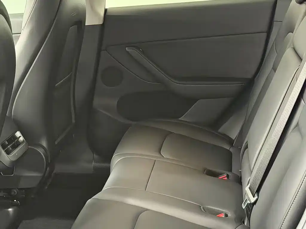 Tesla Model Y — миниатюра 14