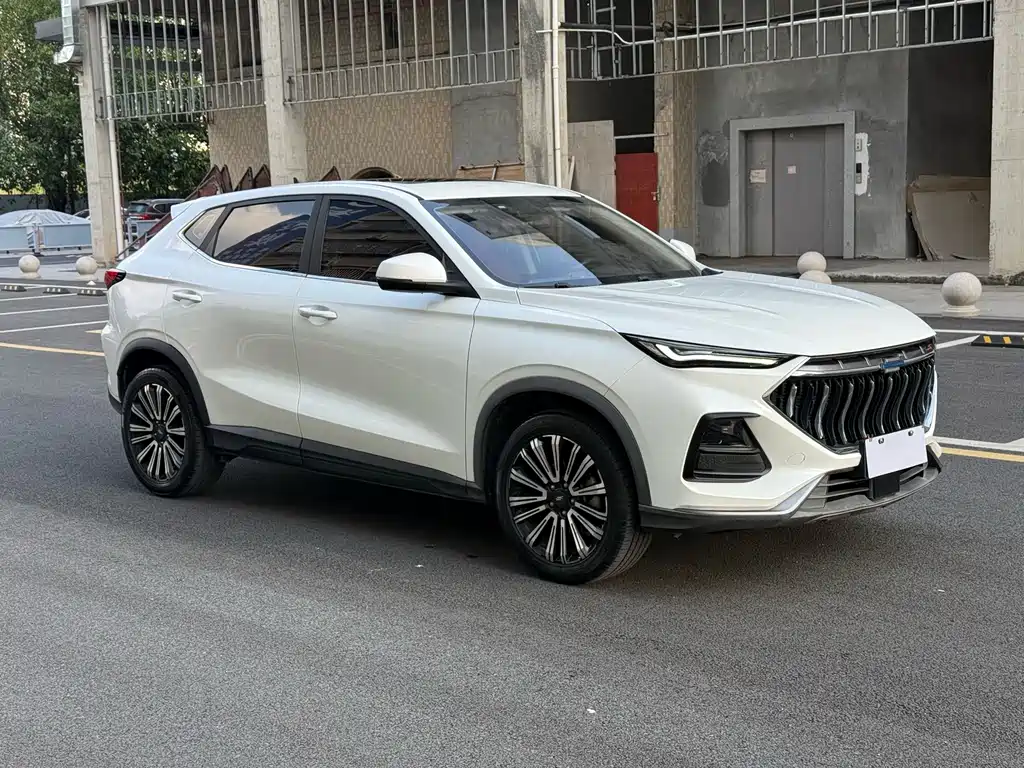 Oshan Oushang X5 — миниатюра 3