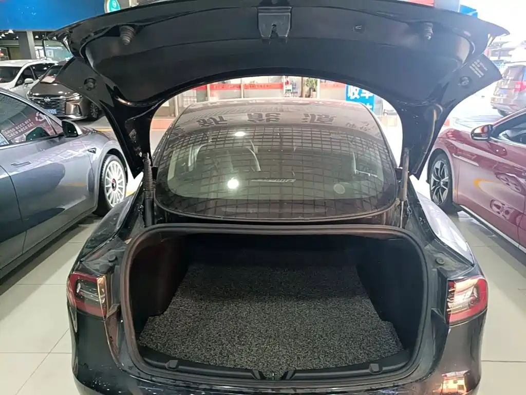 Tesla Model 3 — миниатюра 19