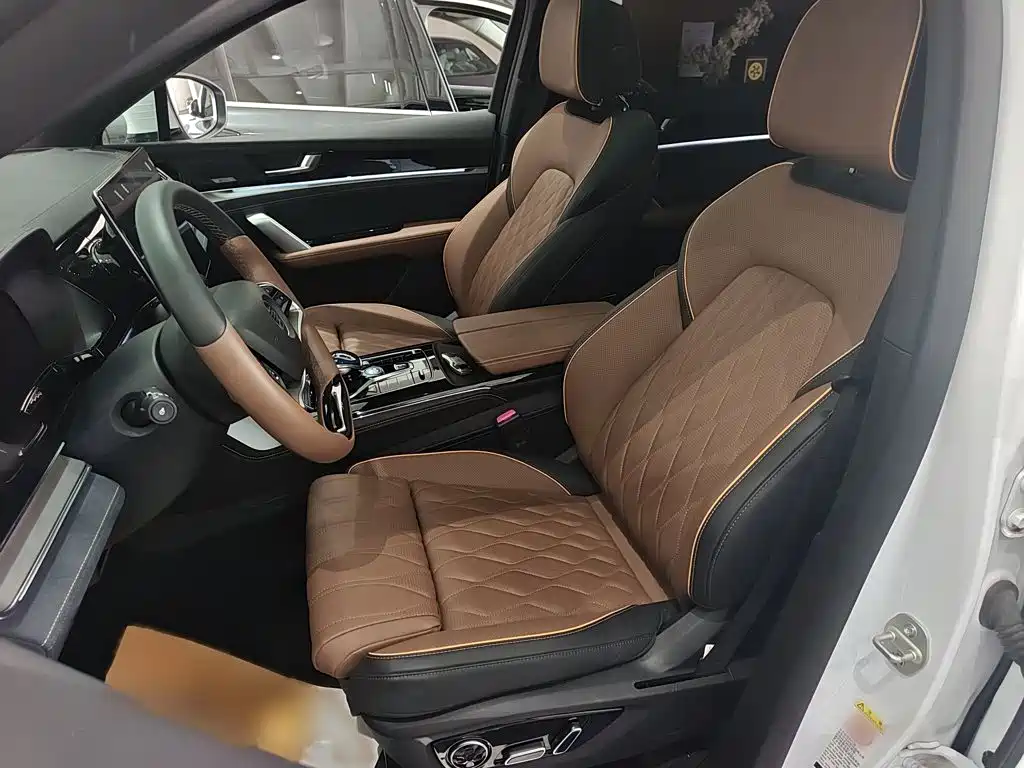BYD Tang New Energy — миниатюра 15