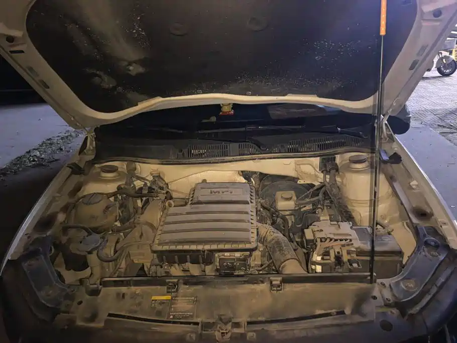 Volkswagen Gran Lavida — миниатюра 10