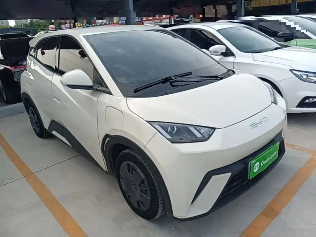 BYD Seagull