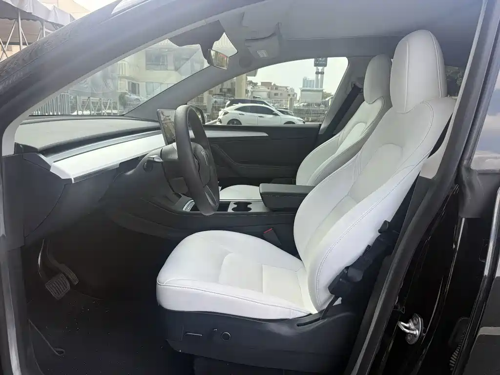 Tesla Model Y — миниатюра 6