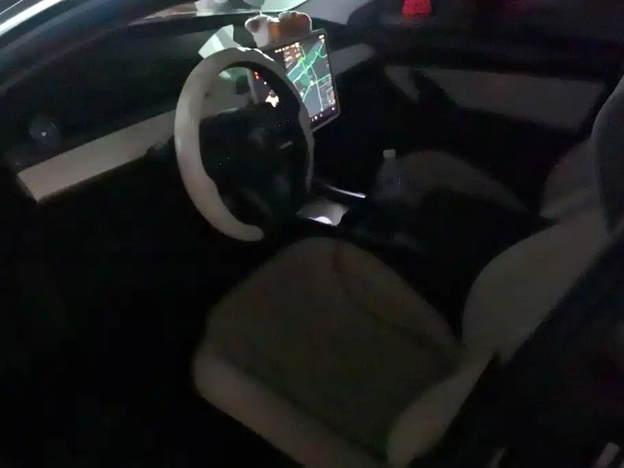 Tesla Model 3 — миниатюра 9