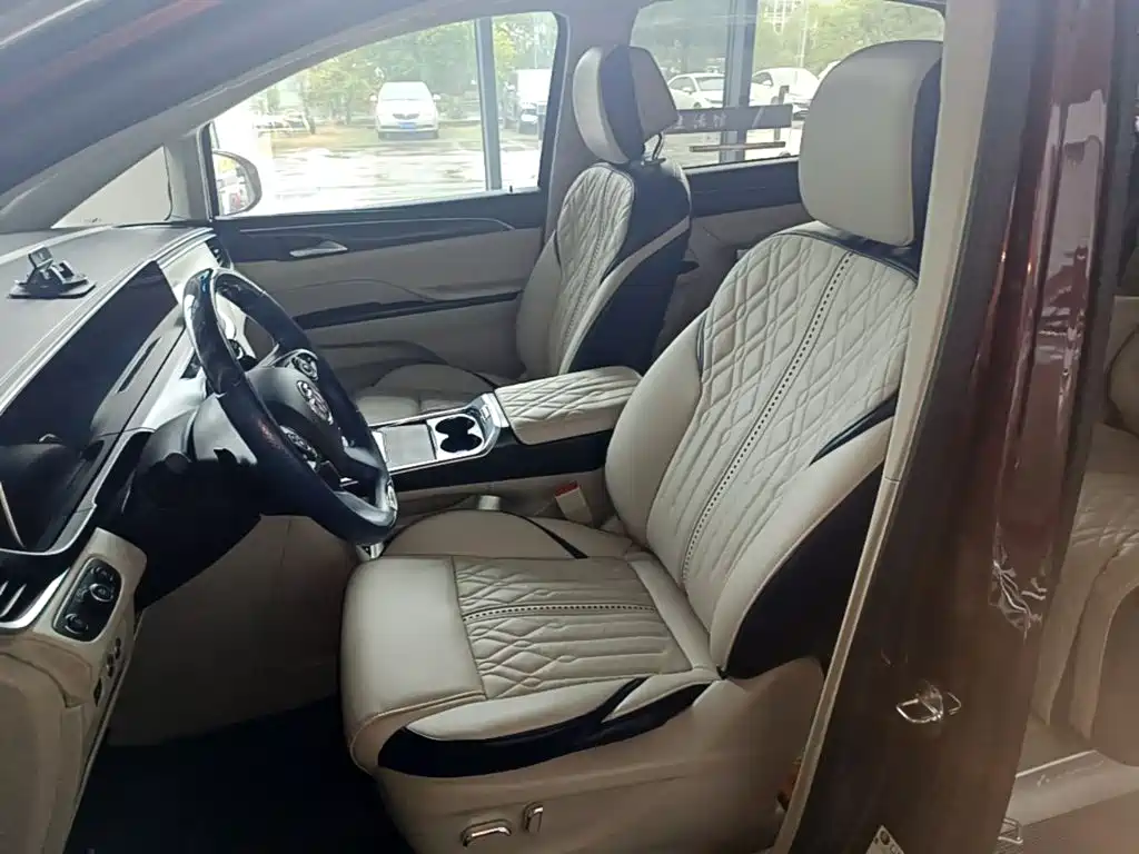 Buick GL8 — миниатюра 15