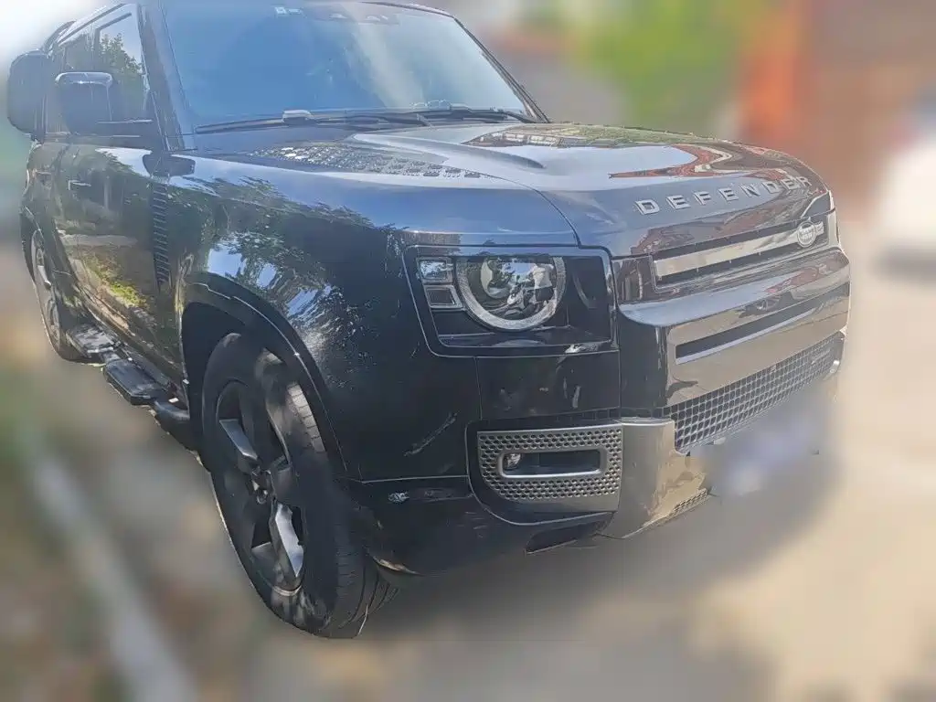 Land Rover Defender — миниатюра 24