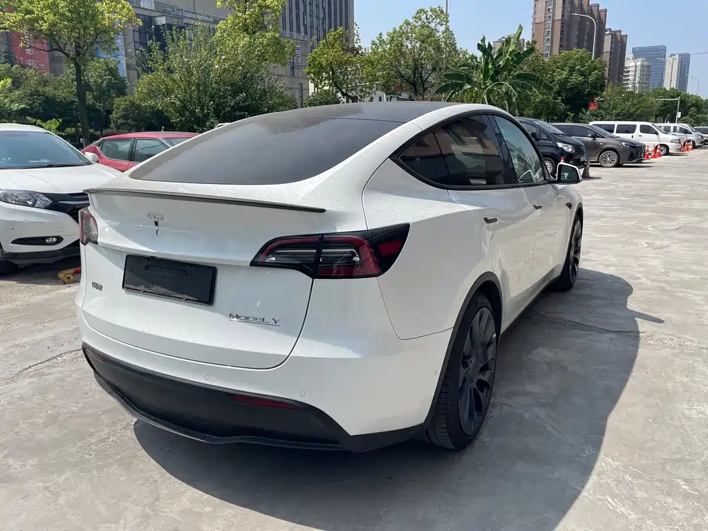 Tesla Model Y — миниатюра 3