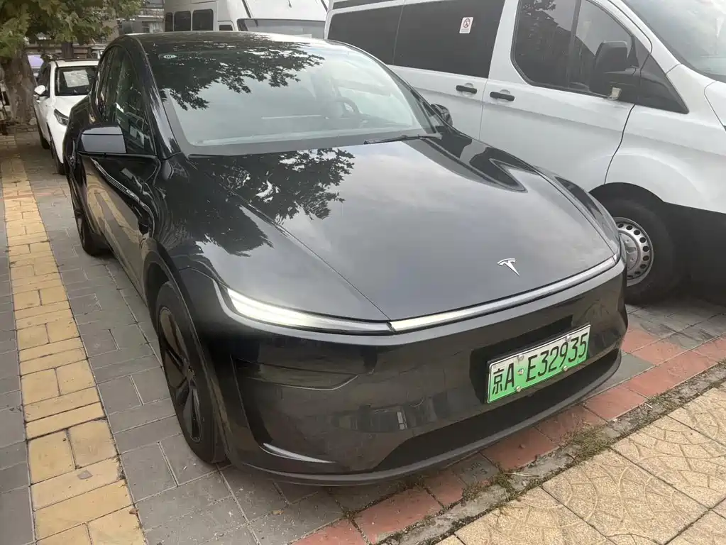 Tesla Model Y — миниатюра 3