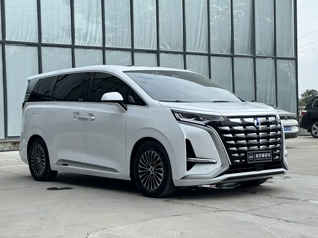 Denza Denza D9 — миниатюра 3