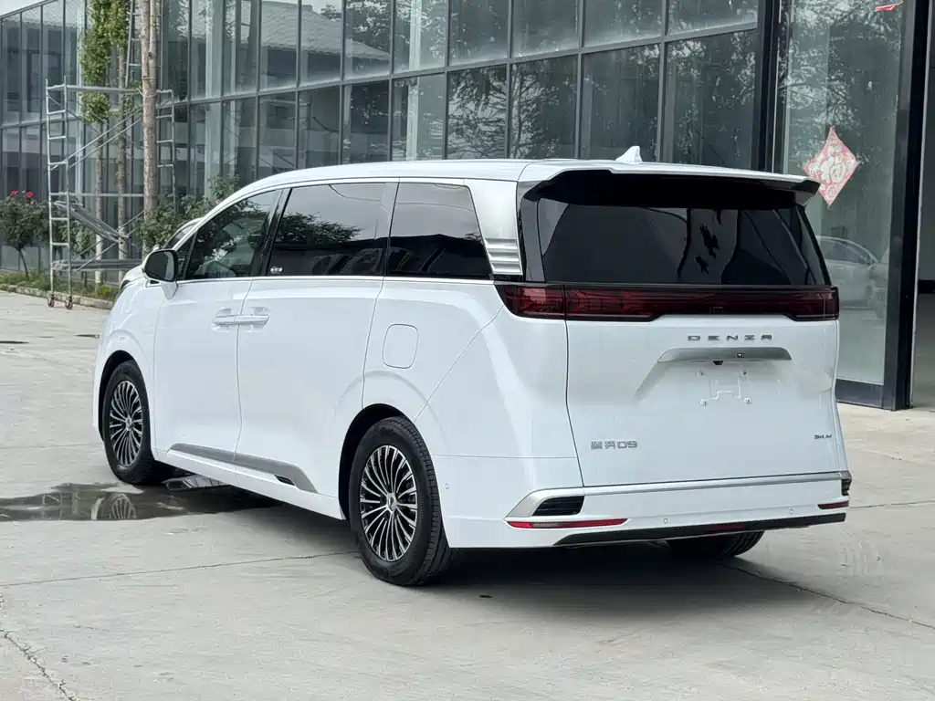 Denza Denza D9 — миниатюра 18