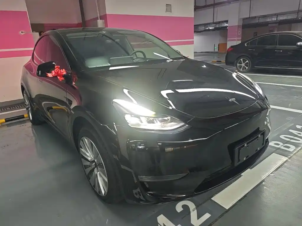 Tesla Model Y — миниатюра 4