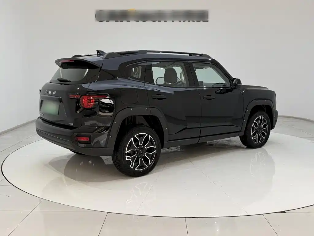 Haval Big Dog PLUS New Energy — миниатюра 10