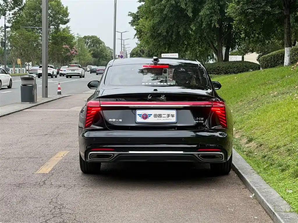 Hongqi H5 2024 2.0T AT