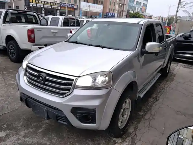 GREAT WALL FENGJUN 5 2019