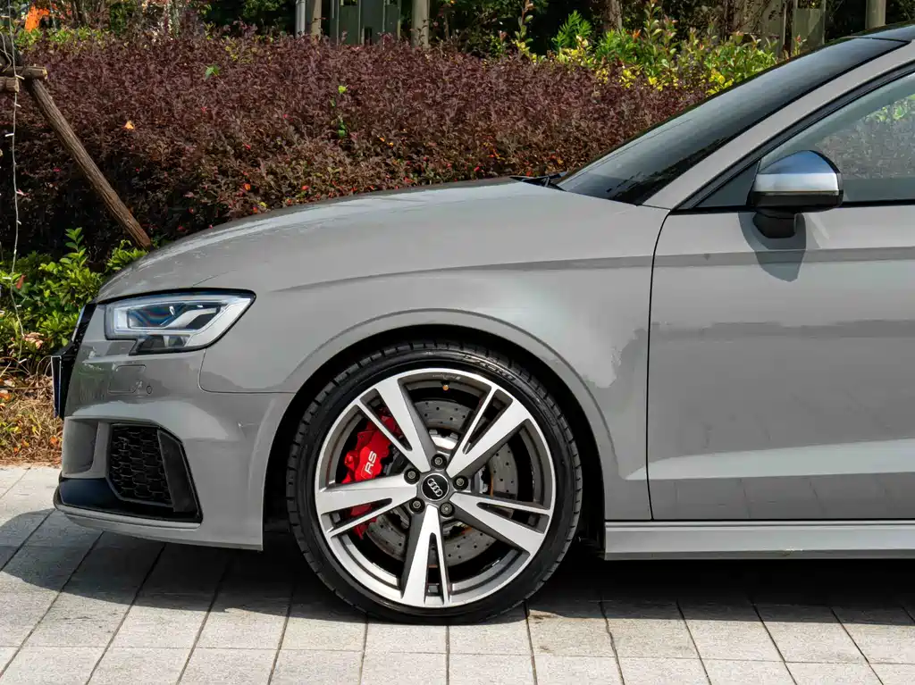 Audi RS 3 — миниатюра 6