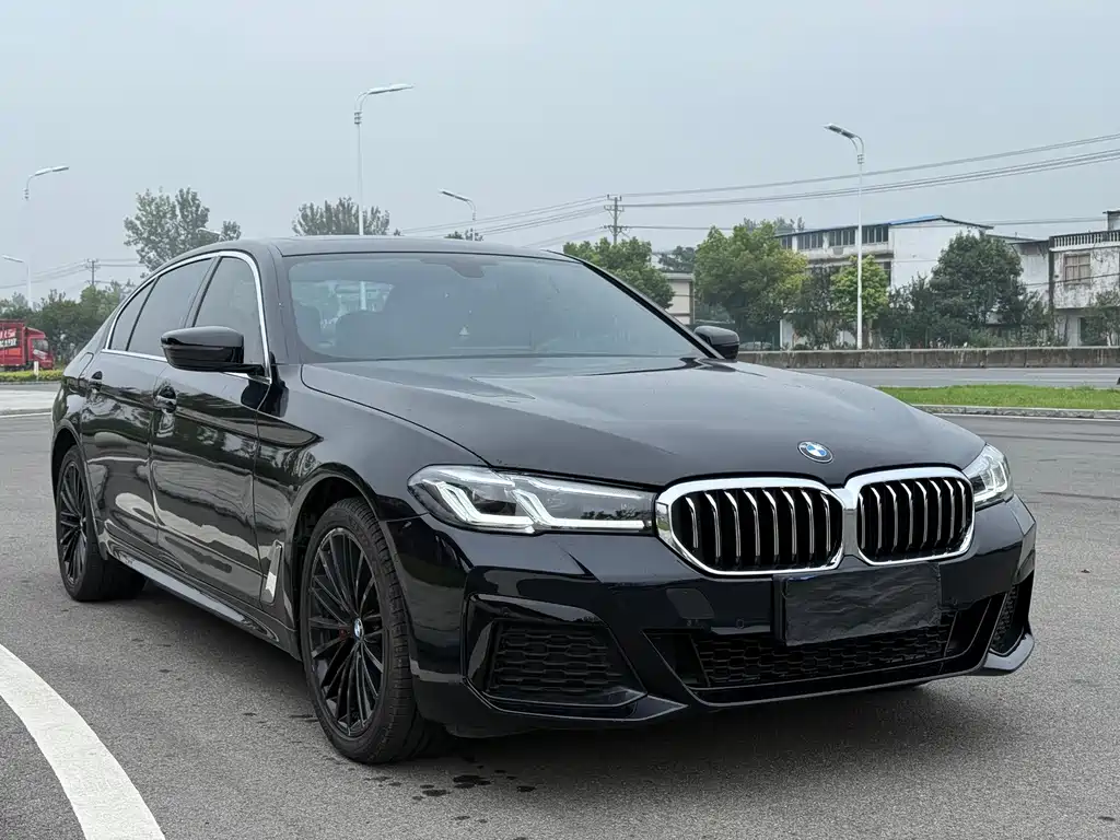 BMW 5 Series — миниатюра 2