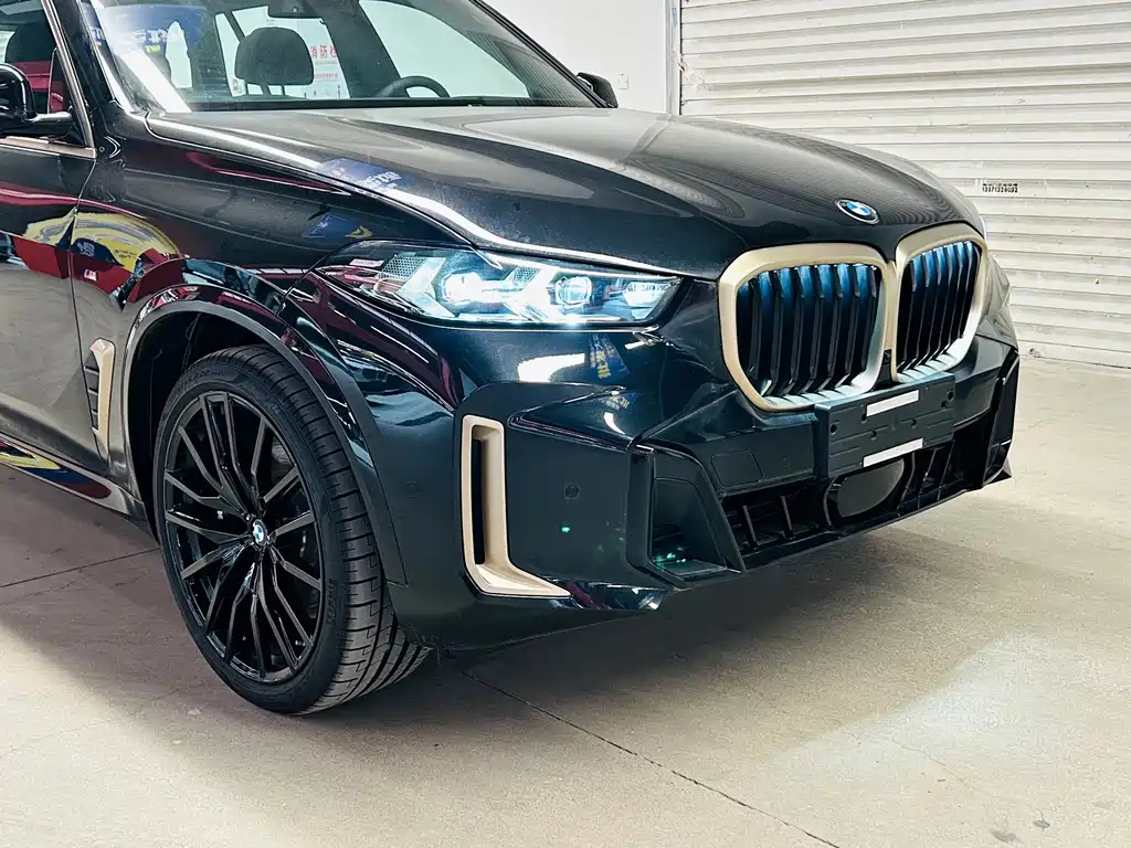 BMW X5 — миниатюра 4