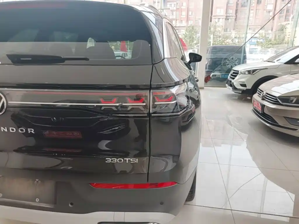 Volkswagen Tavendor — миниатюра 8