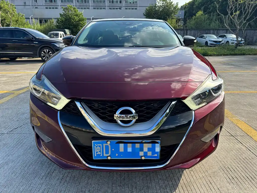 Nissan Cima — миниатюра 2