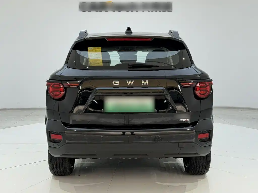 Haval Big Dog PLUS New Energy — миниатюра 9