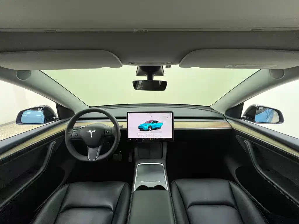 Tesla Model Y — миниатюра 22