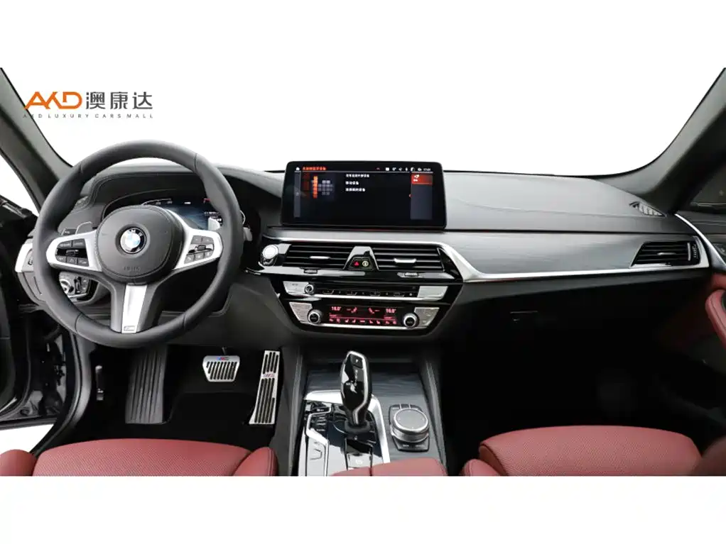 BMW 5 Series 5 2021 530Li Premium M Sport